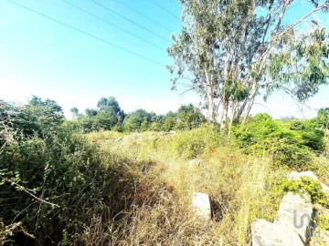 Terreno para Venda em Mujães