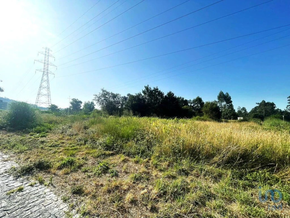 Terreno para Venda em Mujães Foto 6