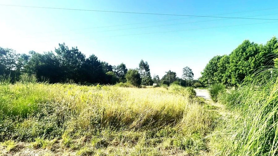 Terreno para Venda em Mujães