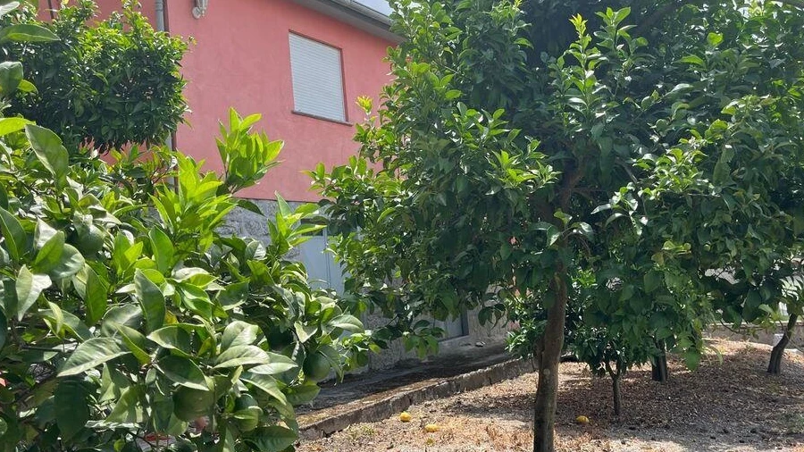 Imagem imóvel