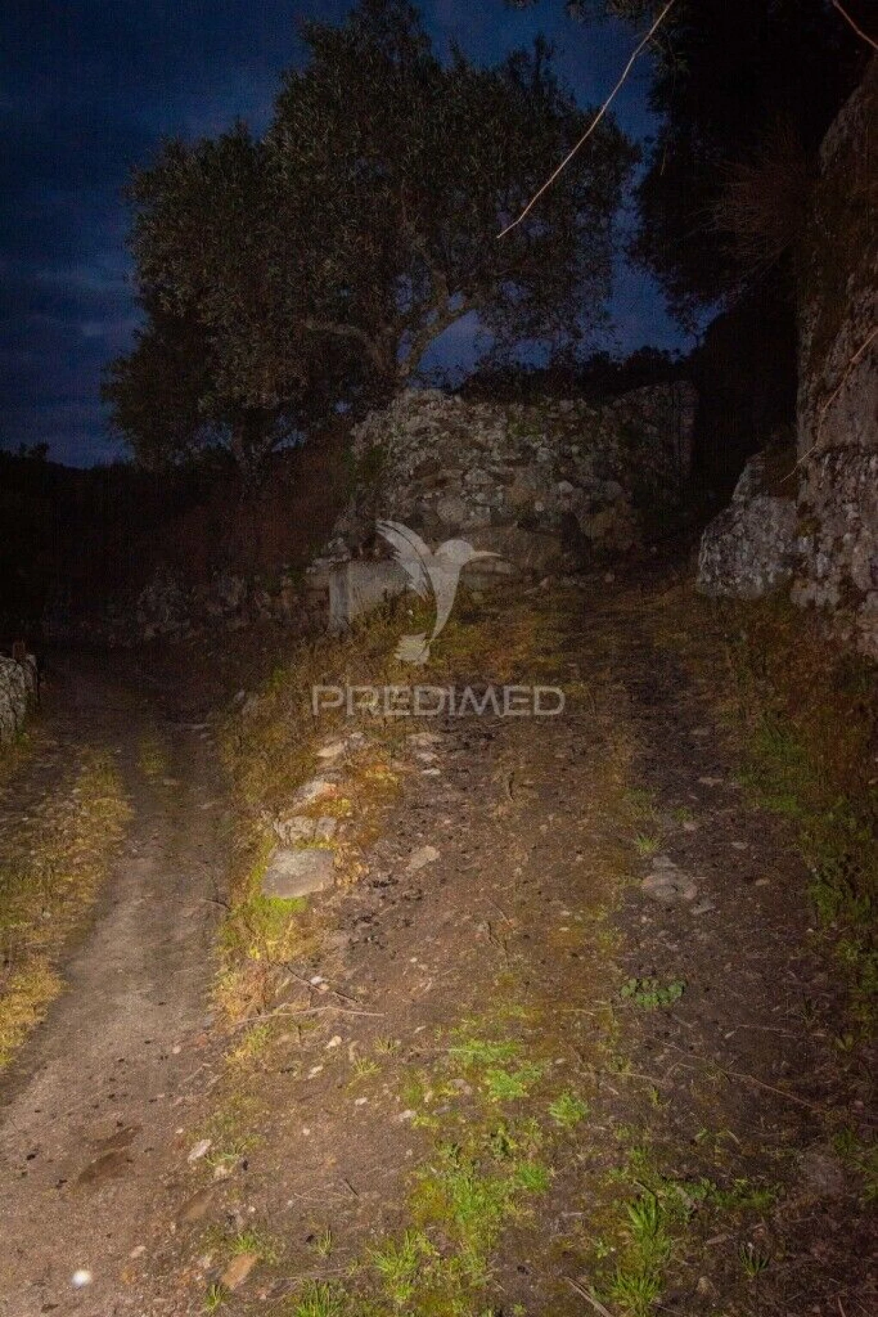 Quinta T6 para Venda em Longa Foto 7