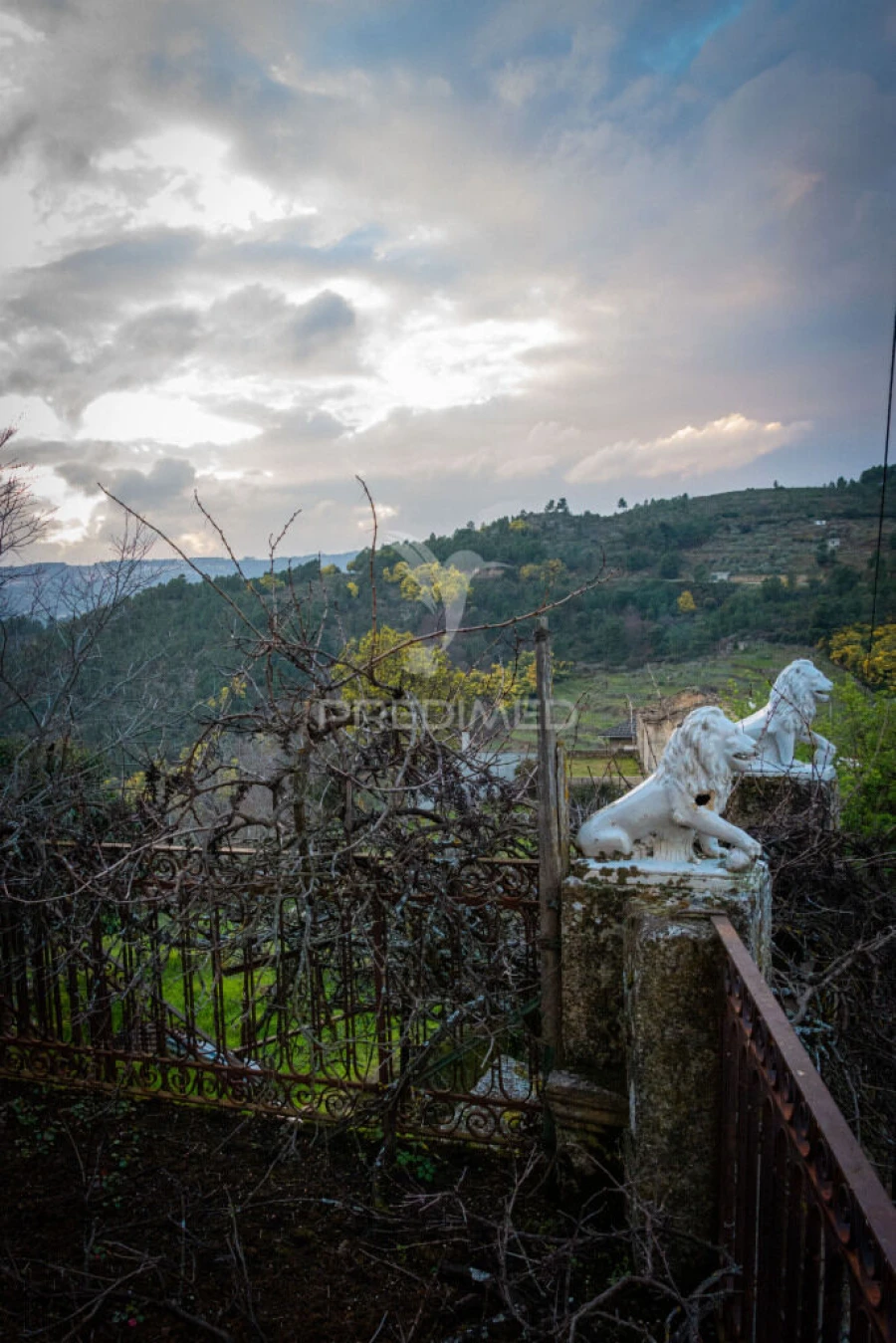 Quinta T6 para Venda em Longa Foto 9