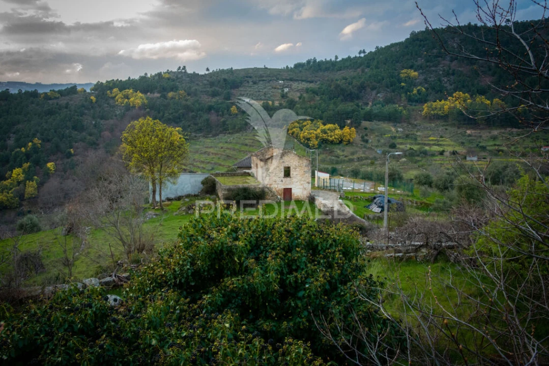 Quinta T6 para Venda em Longa Foto 10