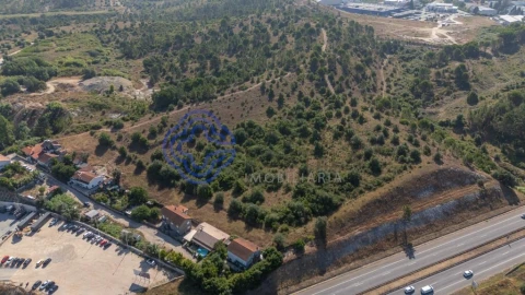 Terreno para Venda em Sé Nova, Santa Cruz, Almedina e São Bartolomeu