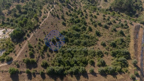 Terreno para Venda em Sé Nova, Santa Cruz, Almedina e São Bartolomeu