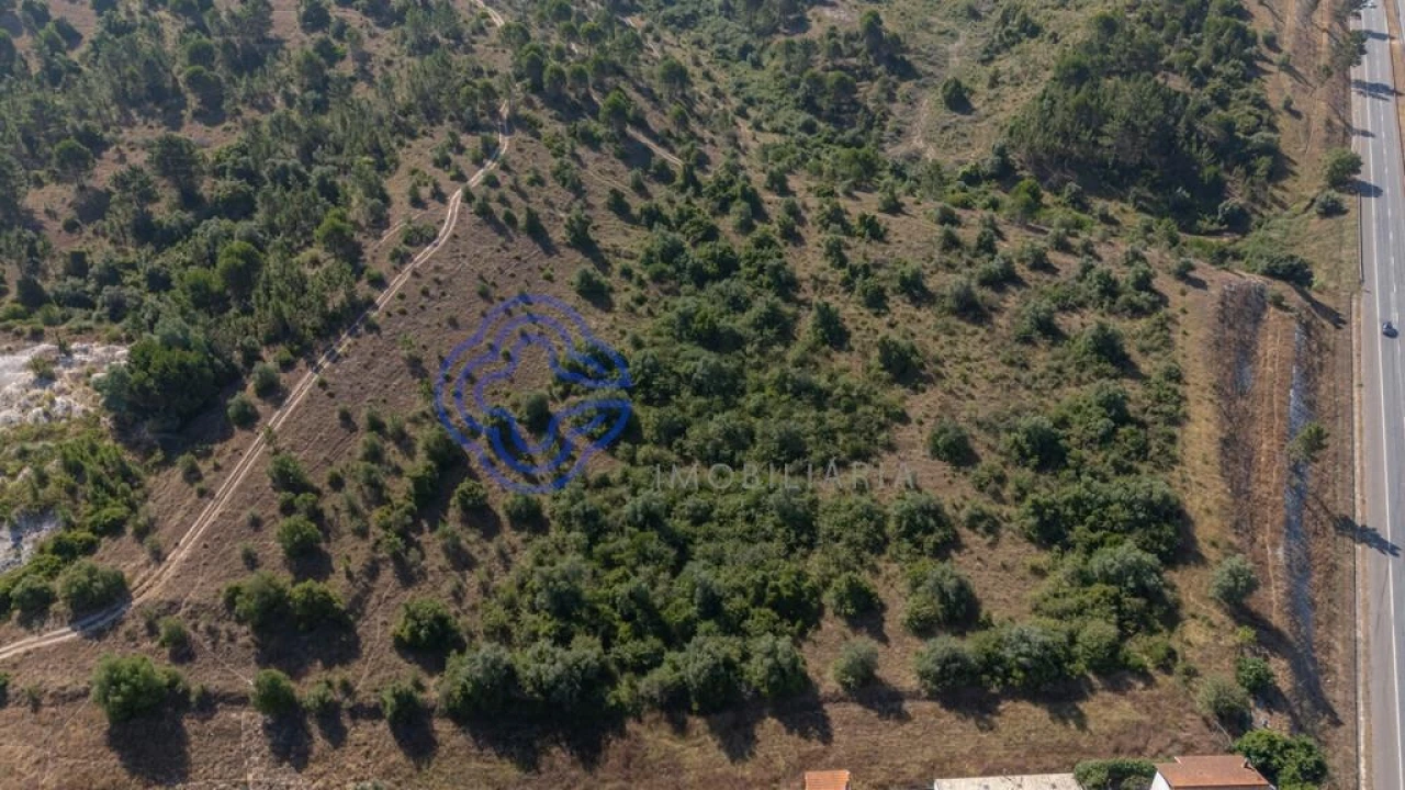 Terreno para Venda em Sé Nova, Santa Cruz, Almedina e São Bartolomeu Foto 6