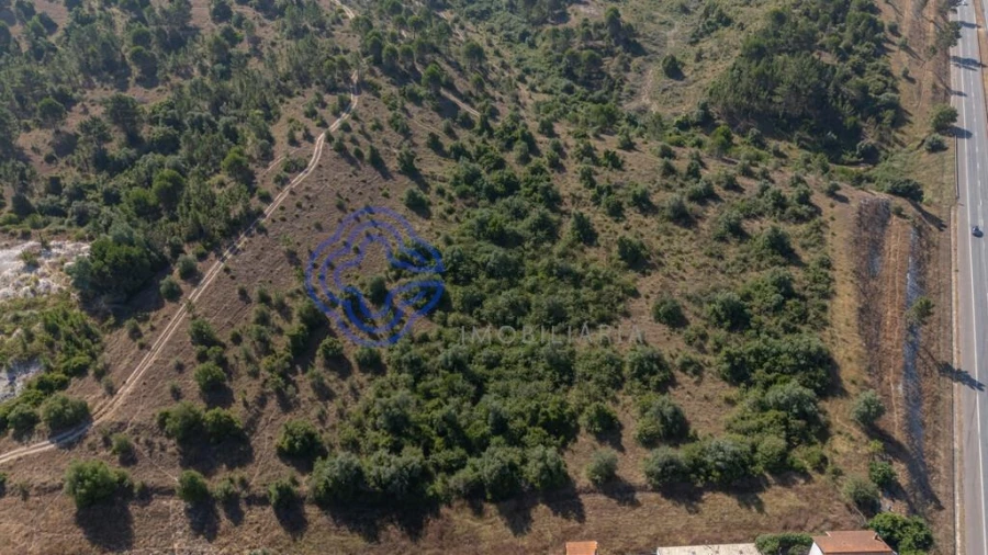 Terreno para Venda em Sé Nova, Santa Cruz, Almedina e São Bartolomeu Foto 6