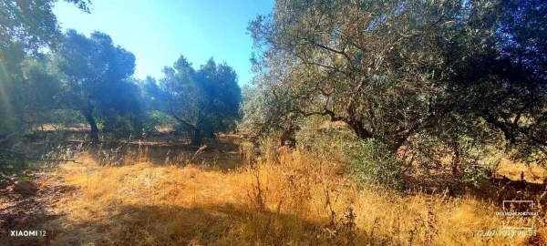Terreno para Venda em Loule (São Clemente)