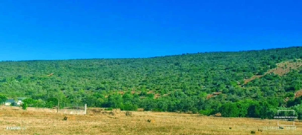 Terreno para Venda em Loule (São Clemente)