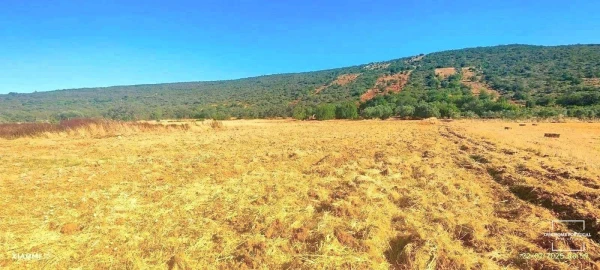 Terreno para Venda em Loule (São Clemente)