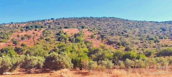 Terreno para Venda em Loule (São Clemente)