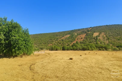 Terreno para Venda em Loule (São Clemente)
