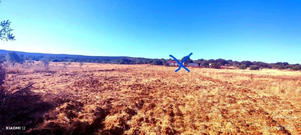 Terreno para Venda em Loule (São Clemente)