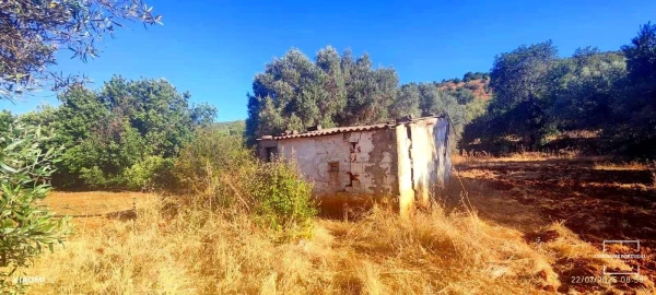 Terreno para Venda em Loule (São Clemente)