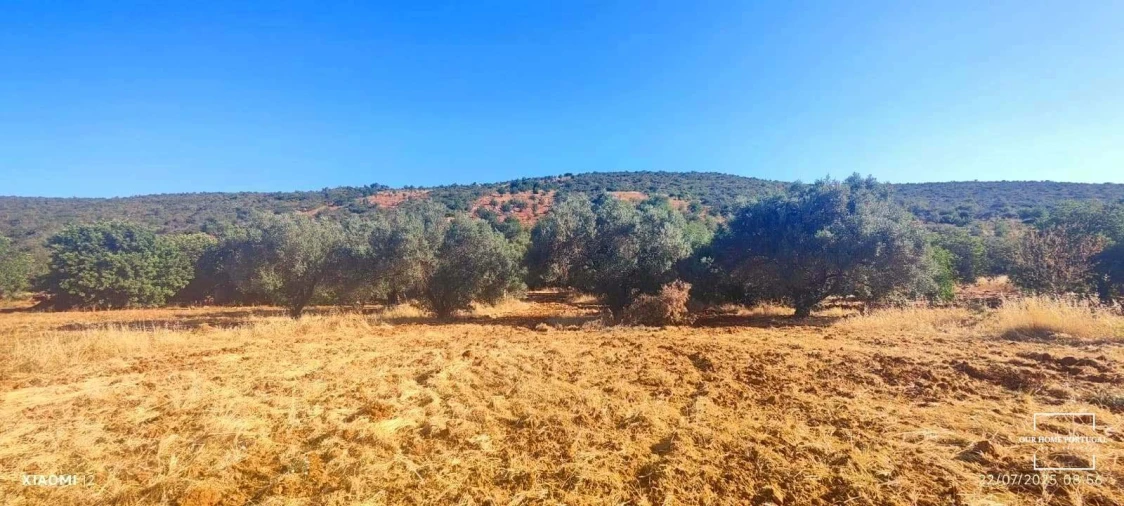 Terreno para Venda em Loule (São Clemente) Foto 8