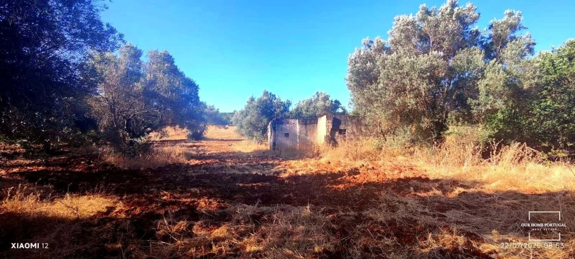 Terreno para Venda em Loule (São Clemente) Foto 10