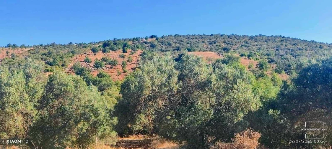 Terreno para Venda em Loule (São Clemente) Foto 5