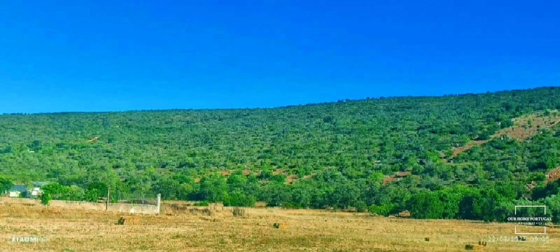 Terreno para Venda em Loule (São Clemente) Foto 2