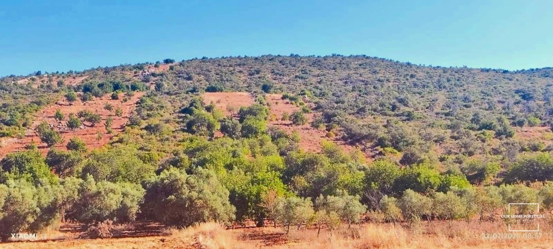 Terreno para Venda em Loule (São Clemente) Foto 4