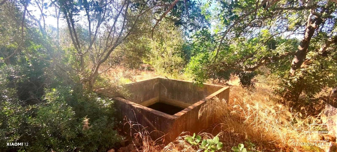 Terreno para Venda em Loule (São Clemente) Foto 12