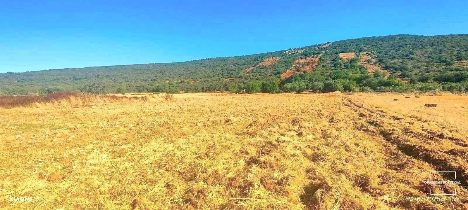 Terreno para Venda em Loule (São Clemente) Foto 3