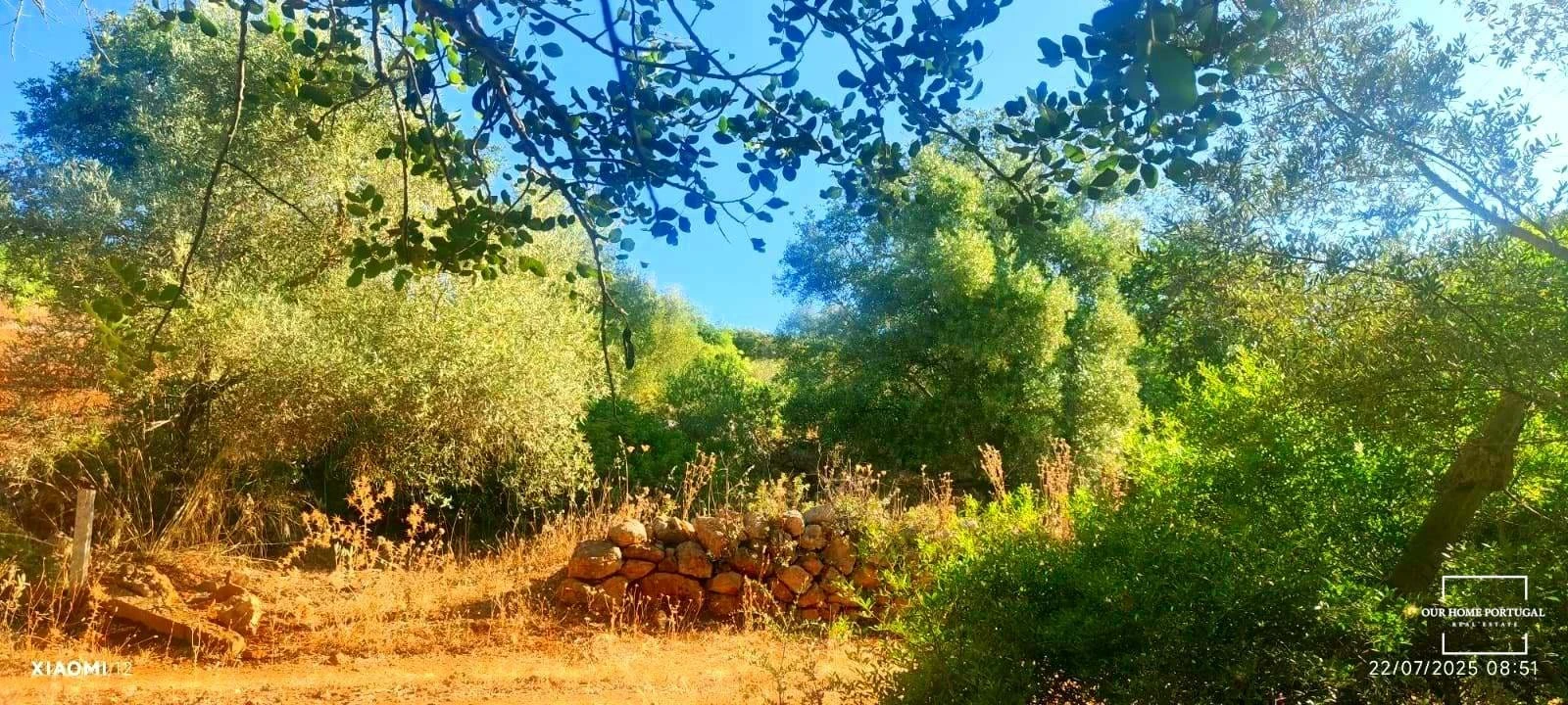 Terreno para Venda em Loule (São Clemente) Foto 13