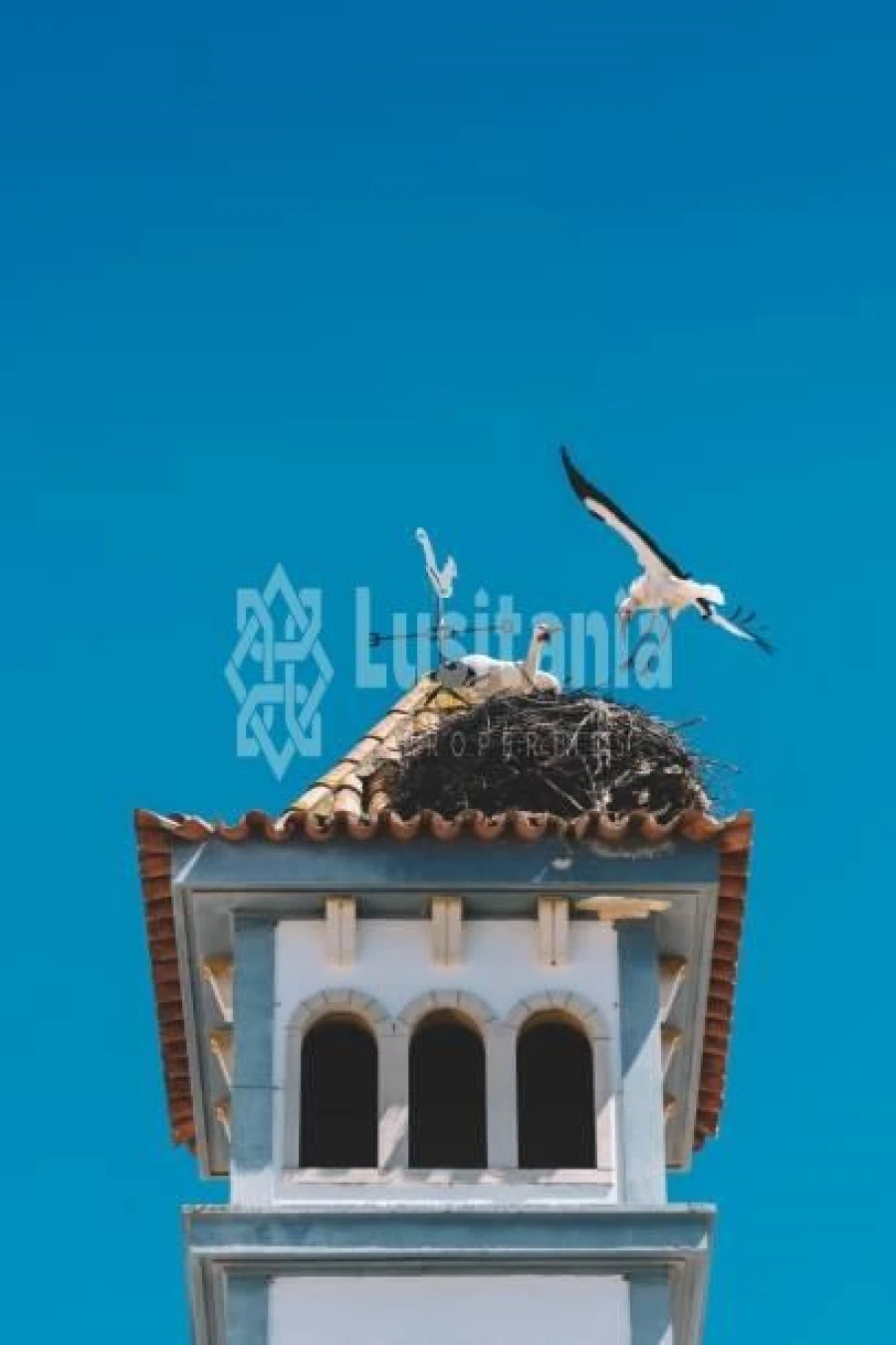 Apartamento T3 para Venda em Quarteira Foto 42