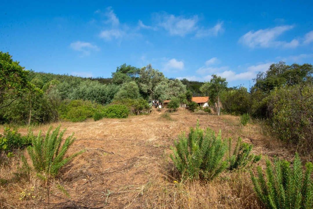 Terreno para Venda em Lagos (São Sebastião e Santa Maria) Foto 25