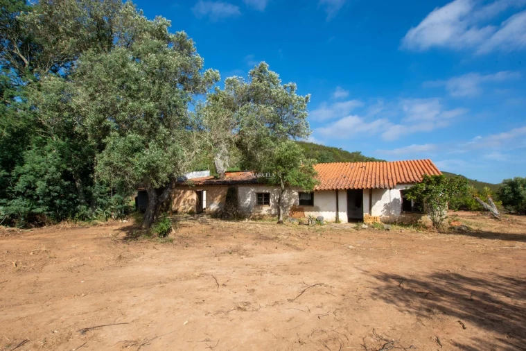 Terreno para Venda em Lagos (São Sebastião e Santa Maria) Foto 24