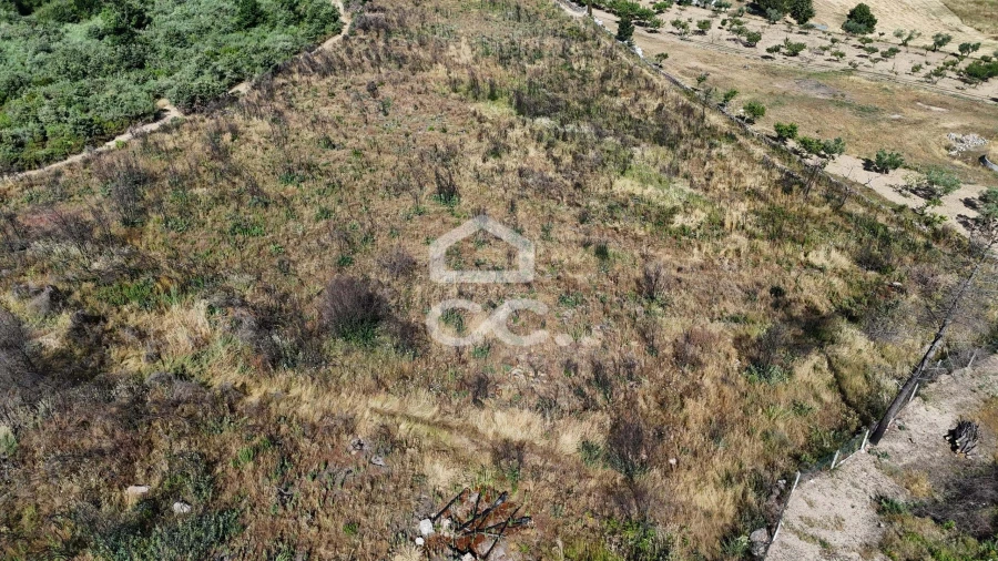 Terreno para Venda em Bornes de Aguiar Foto 5