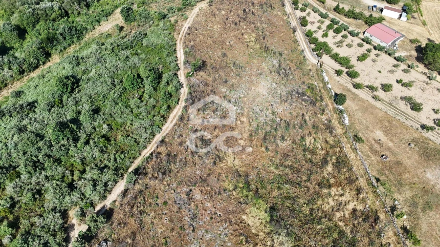 Terreno para Venda em Bornes de Aguiar Foto 10