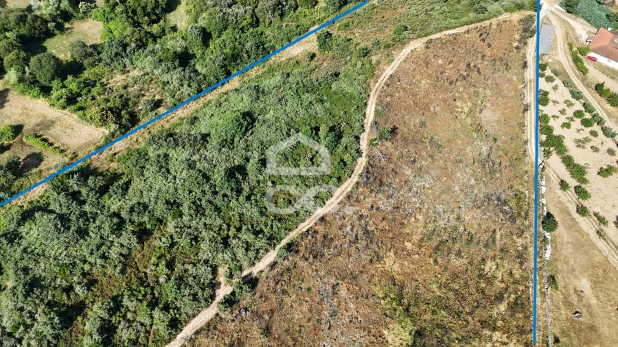 Terreno para Venda em Bornes de Aguiar Foto 3