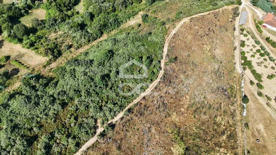 Terreno para Venda em Bornes de Aguiar Foto 11