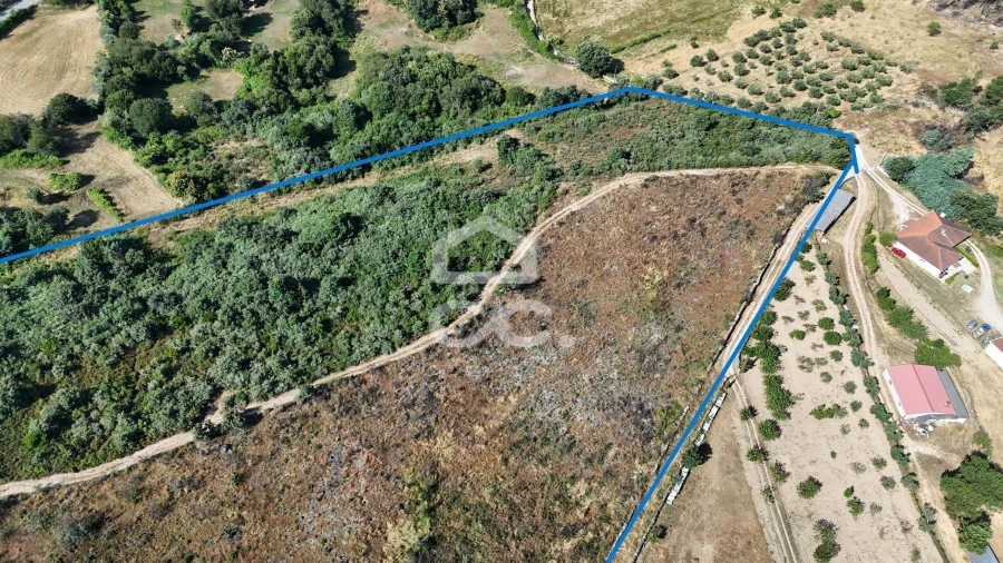 Terreno para Venda em Bornes de Aguiar Foto 4