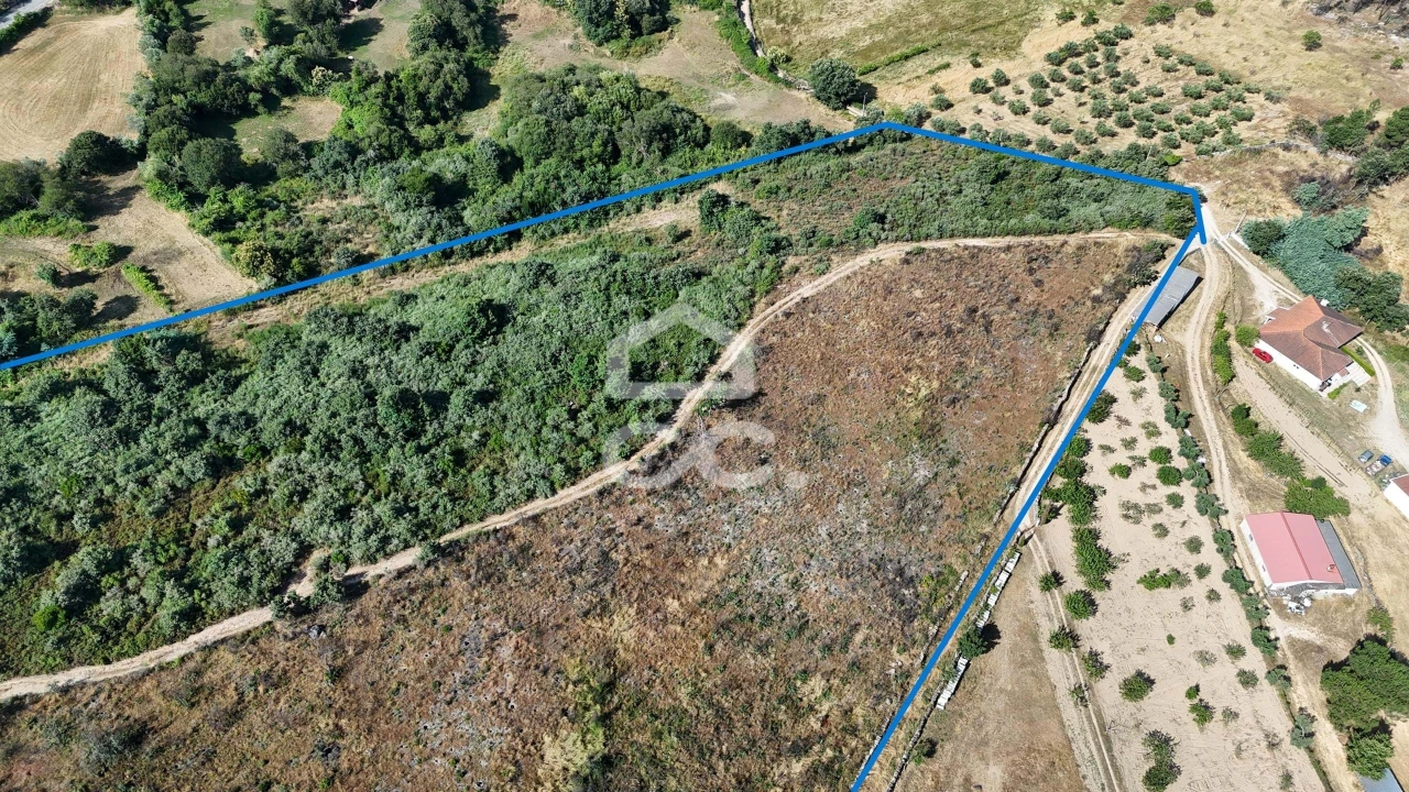 Terreno para Venda em Bornes de Aguiar Foto 4