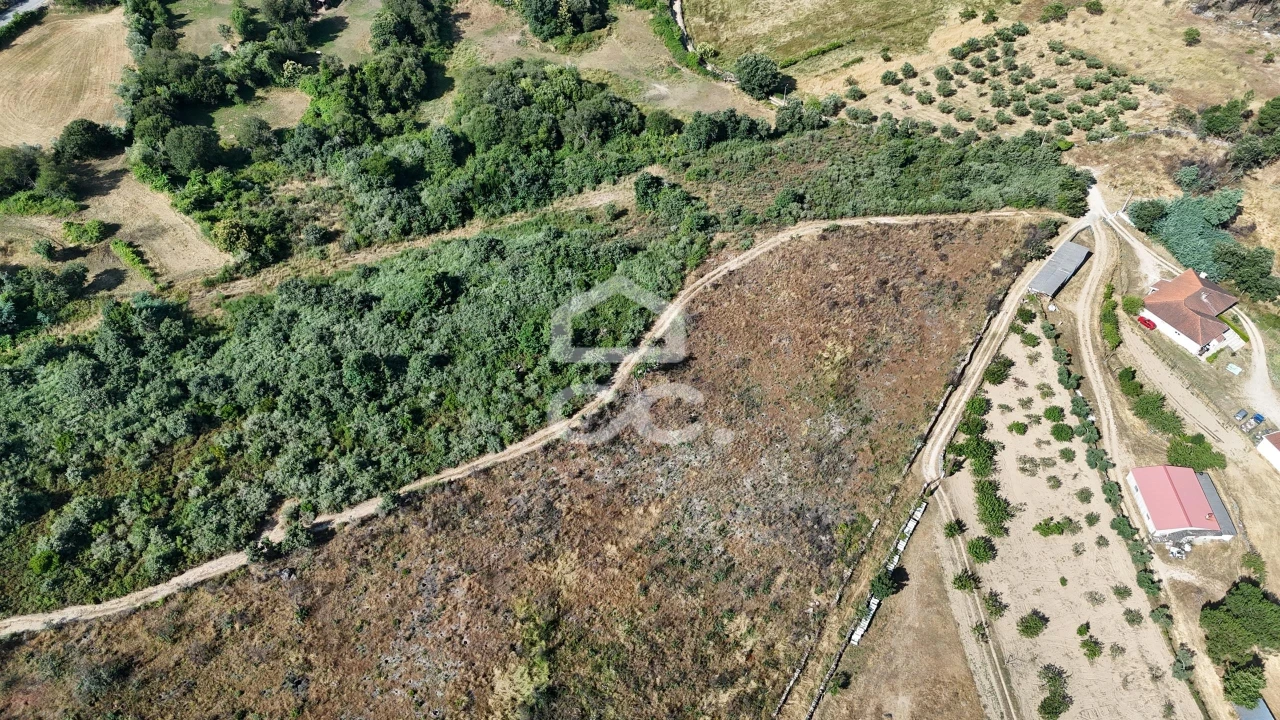 Terreno para Venda em Bornes de Aguiar Foto 14