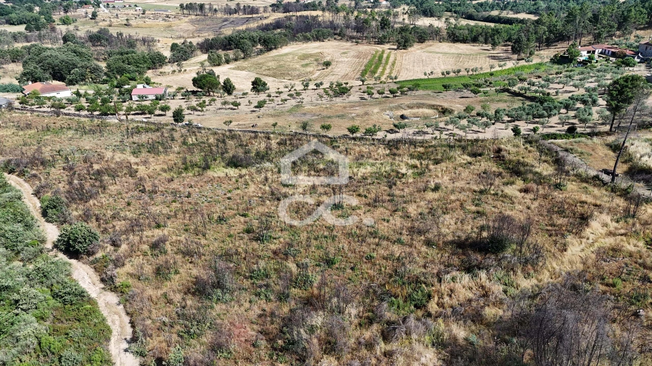 Terreno para Venda em Bornes de Aguiar Foto 8