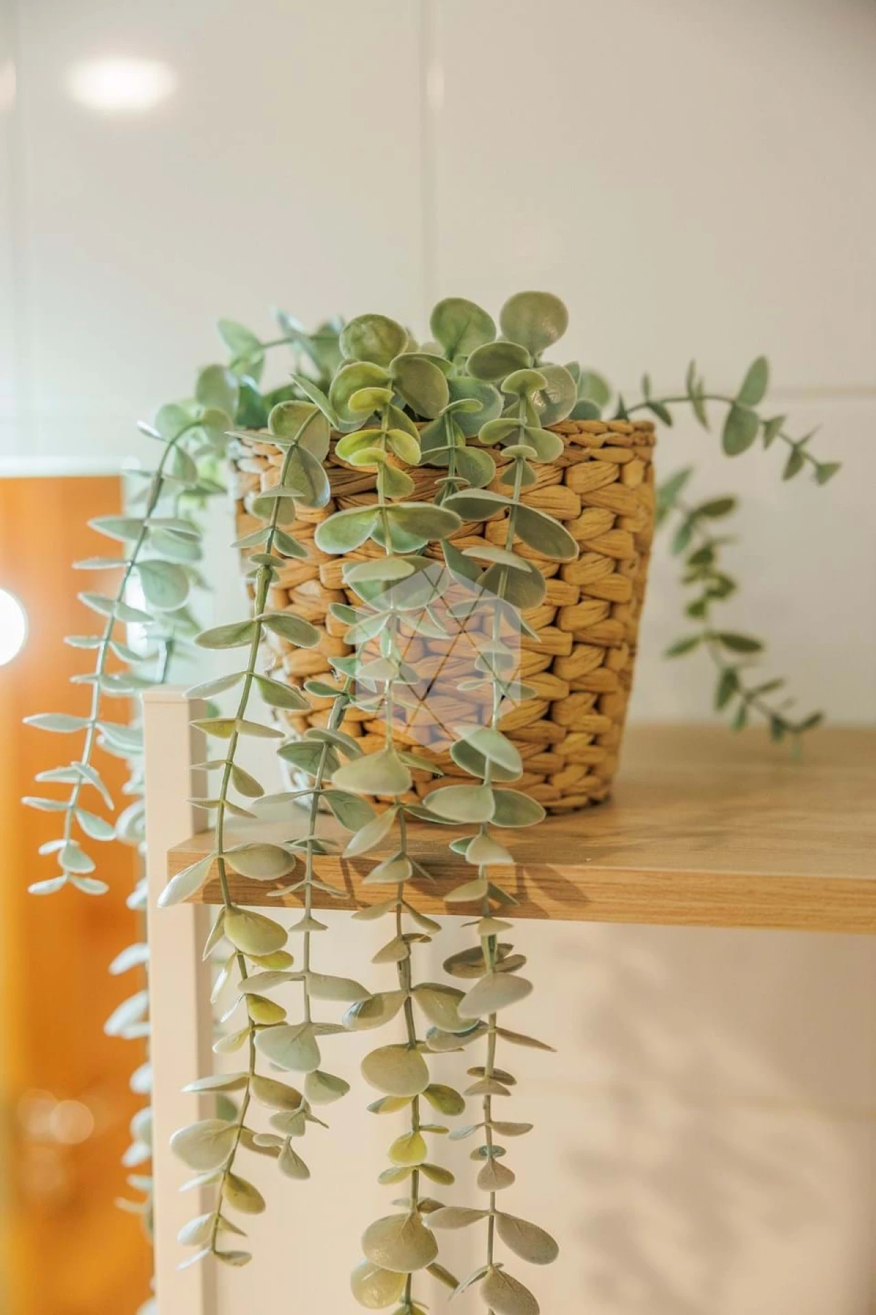 Apartamento T1 para Arrendamento férias em Porches Foto 10