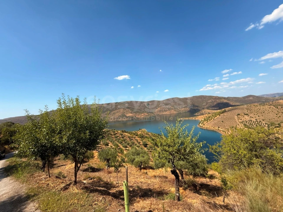 Terreno Agricola ou Rústico para Venda em Felgar e Souto da Velha Foto 1