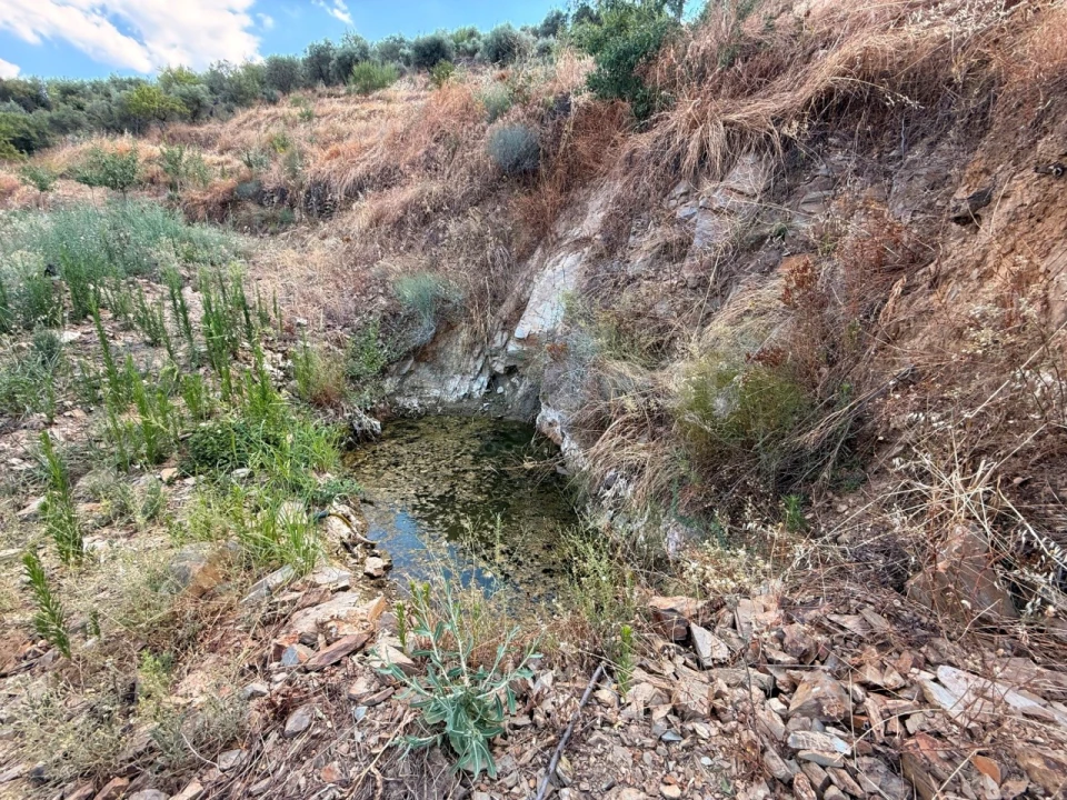 Terreno Agricola ou Rústico para Venda em Felgar e Souto da Velha Foto 7
