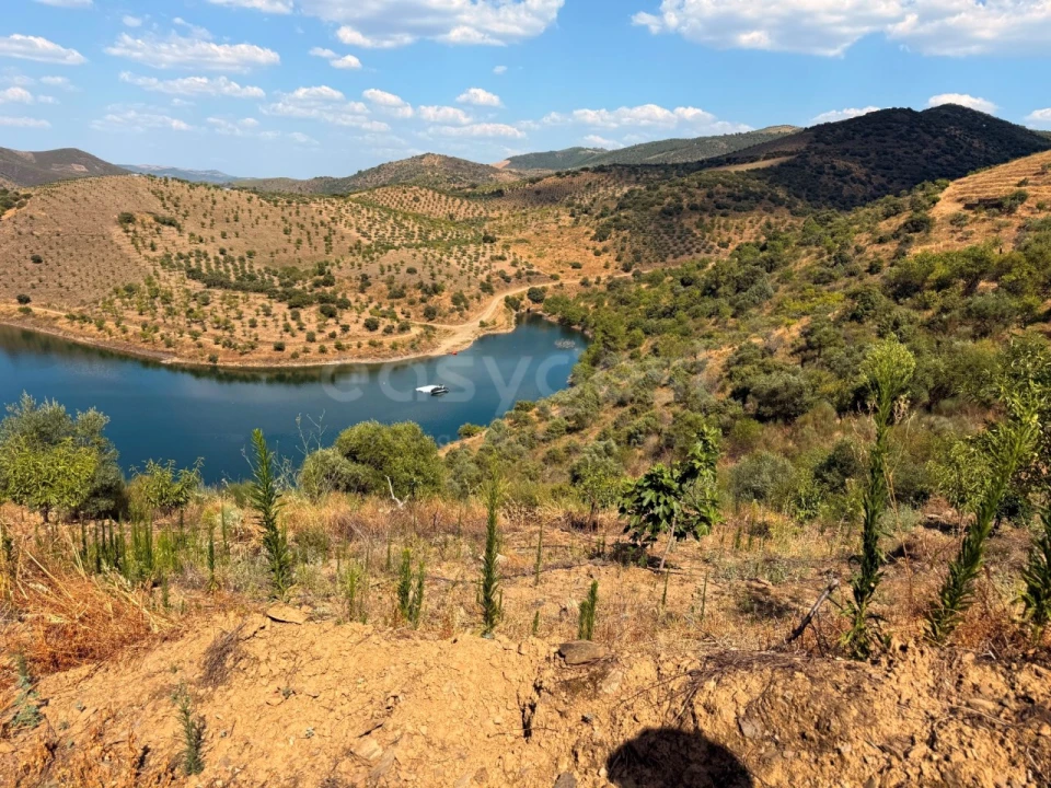 Terreno Agricola ou Rústico para Venda em Felgar e Souto da Velha Foto 13