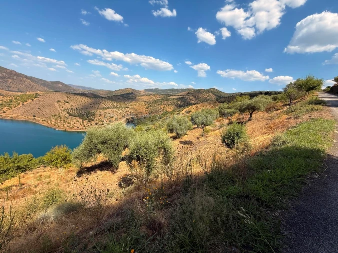 Terreno Agricola ou Rústico para Venda em Felgar e Souto da Velha Foto 3