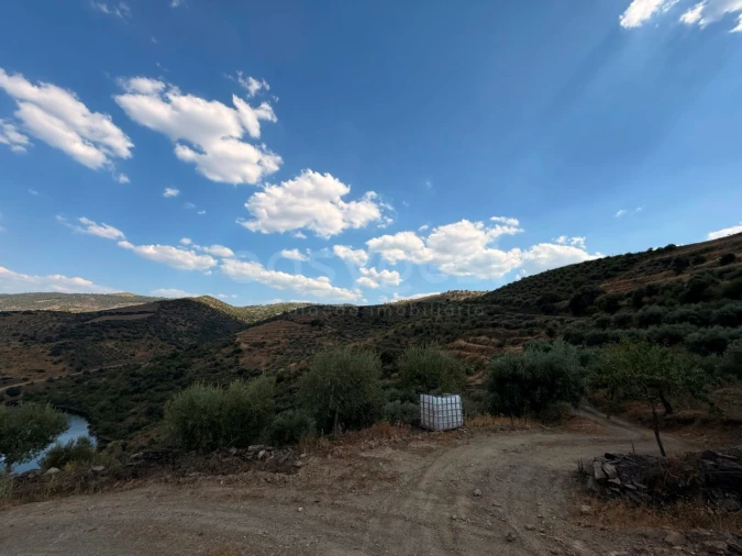 Terreno Agricola ou Rústico para Venda em Felgar e Souto da Velha Foto 4