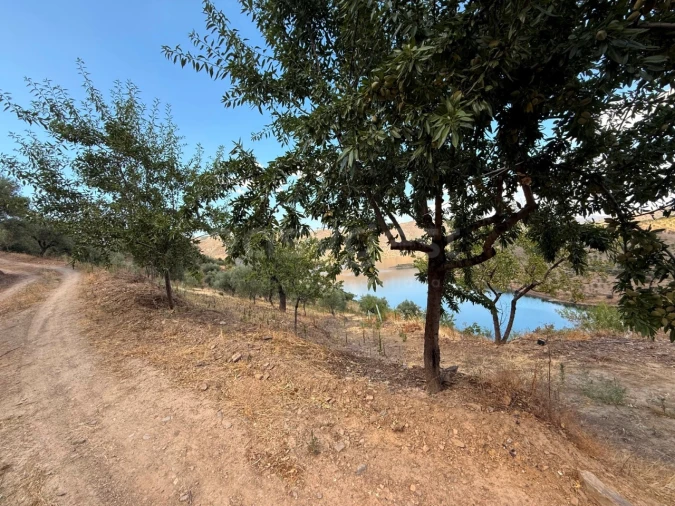 Terreno Agricola ou Rústico para Venda em Felgar e Souto da Velha Foto 9