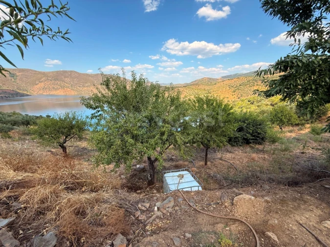 Terreno Agricola ou Rústico para Venda em Felgar e Souto da Velha Foto 11