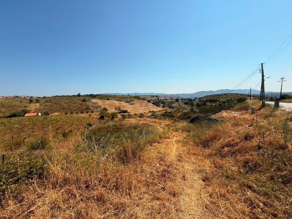 Terreno Agricola ou Rústico para Venda em Vila Nova de Foz Côa Foto 1