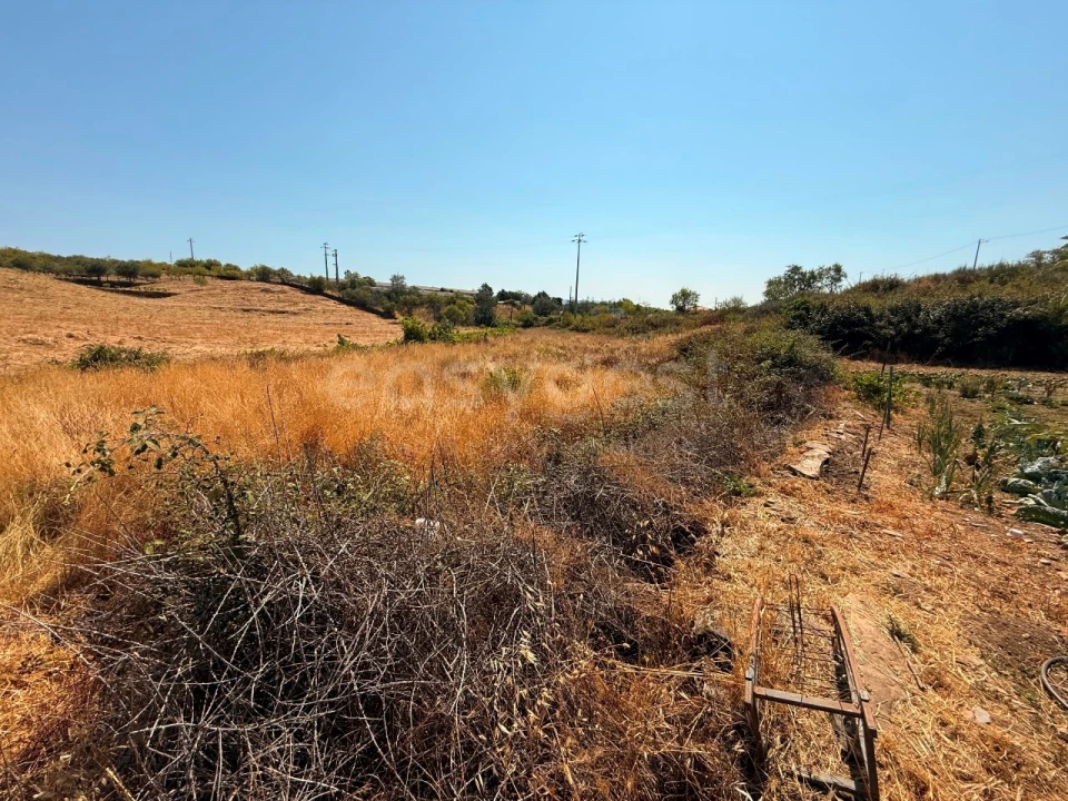 Terreno Agricola ou Rústico para Venda em Vila Nova de Foz Côa Foto 11