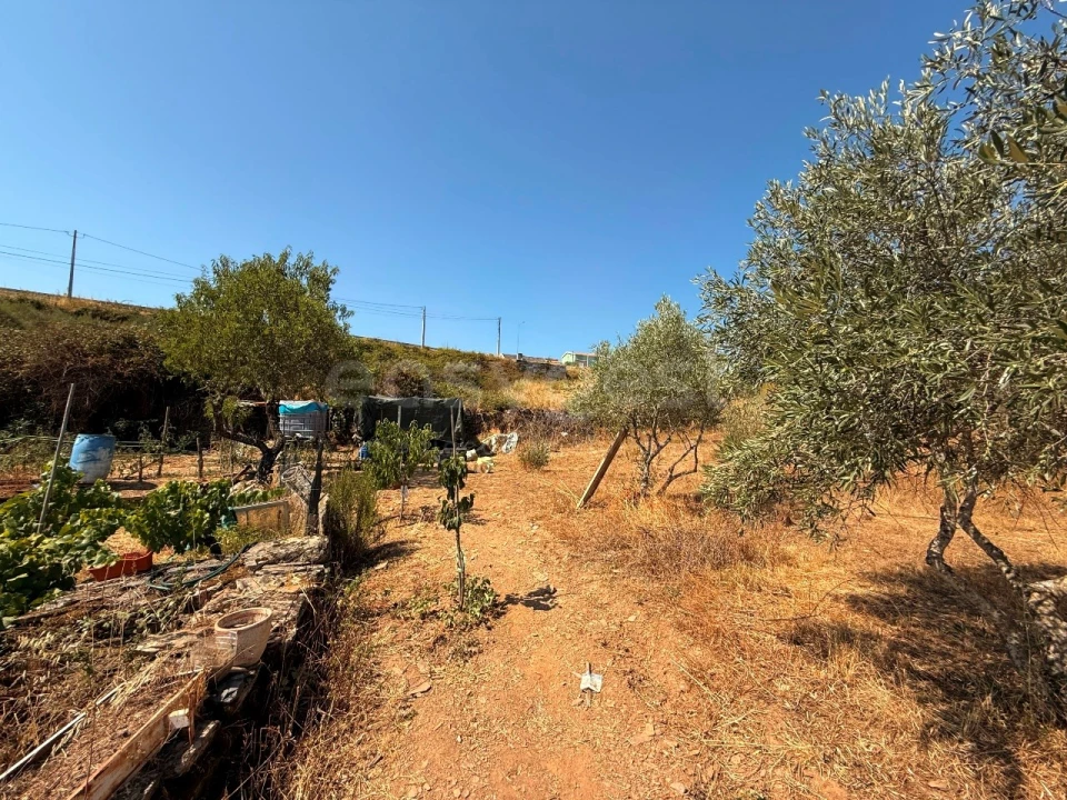 Terreno Agricola ou Rústico para Venda em Vila Nova de Foz Côa Foto 12