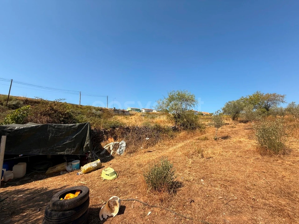 Terreno Agricola ou Rústico para Venda em Vila Nova de Foz Côa Foto 13