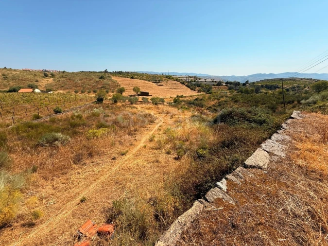 Terreno Agricola ou Rústico para Venda em Vila Nova de Foz Côa Foto 2